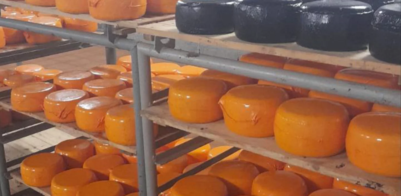 Пищевые ароматизаторы в производстве сыров